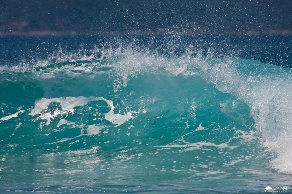 沪江开心词场