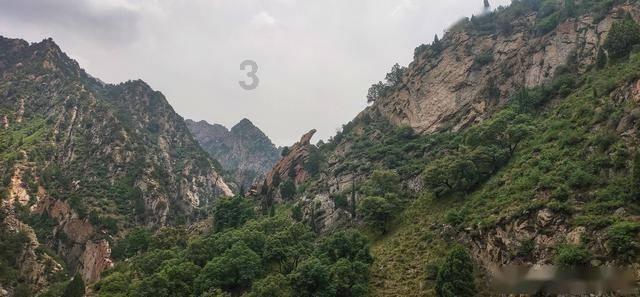 我区举行《你说我帮》公益平台授牌暨“雷锋司机”表彰活动